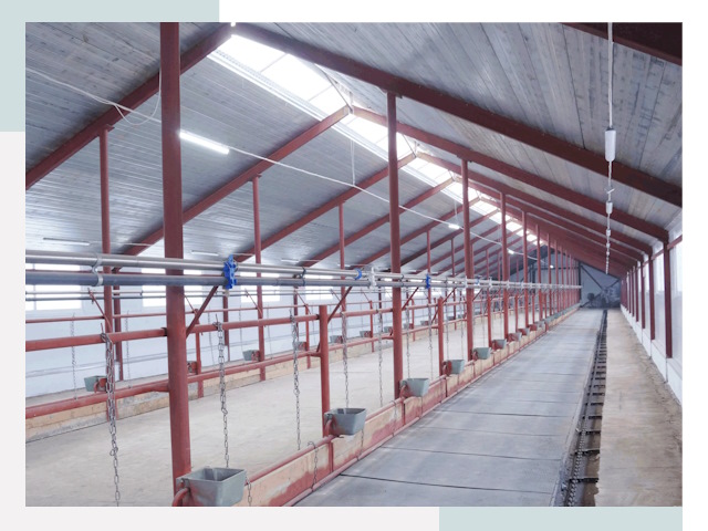 Строительство коровников в Новочеркасске от 614 руб.