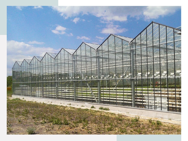 Строительство теплиц в Новочеркасск от 614 руб. за м²