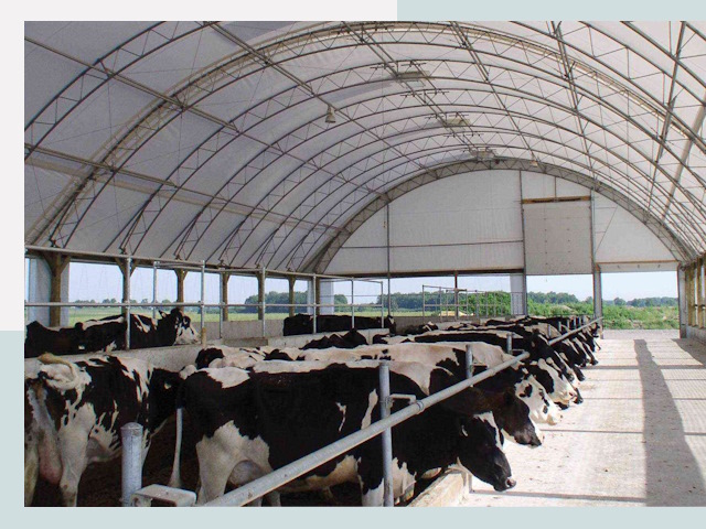 Тентовые коровники в Новочеркасске